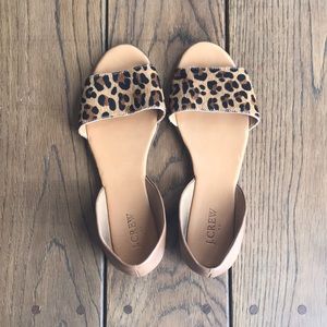 Leopard flat